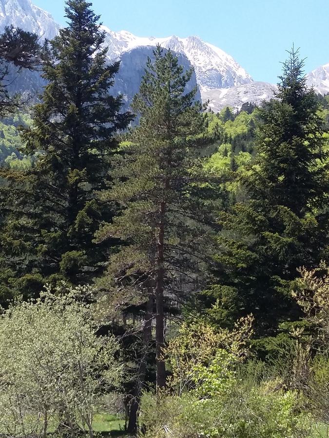 Hospederia Prepirineo Hotel Undues-Pintano ภายนอก รูปภาพ